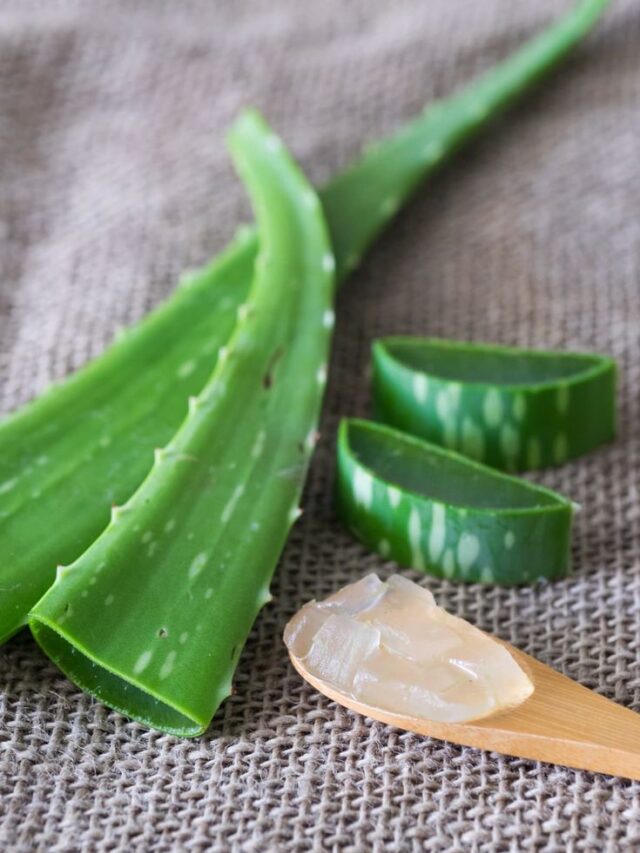 Aloe Vera Gel Benefits on hairs